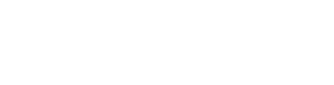 drivestream-white-logo-2